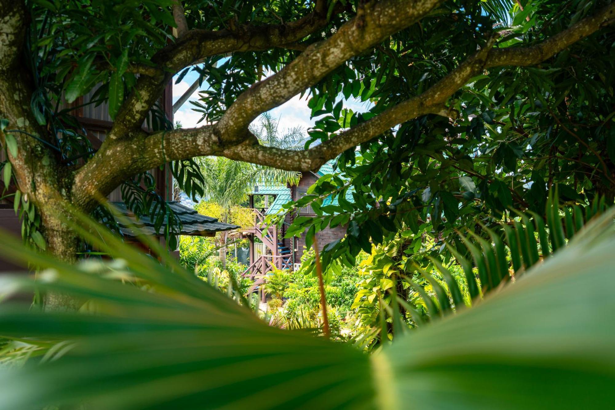 Lemongrass Lodge Beau Vallon  Zewnętrze zdjęcie