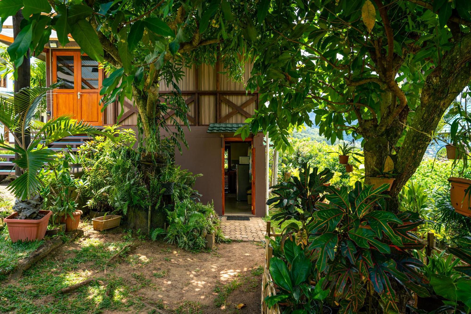 Lemongrass Lodge Beau Vallon  Zewnętrze zdjęcie